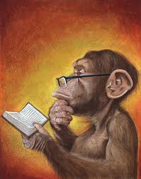 monkey reading book.jpg